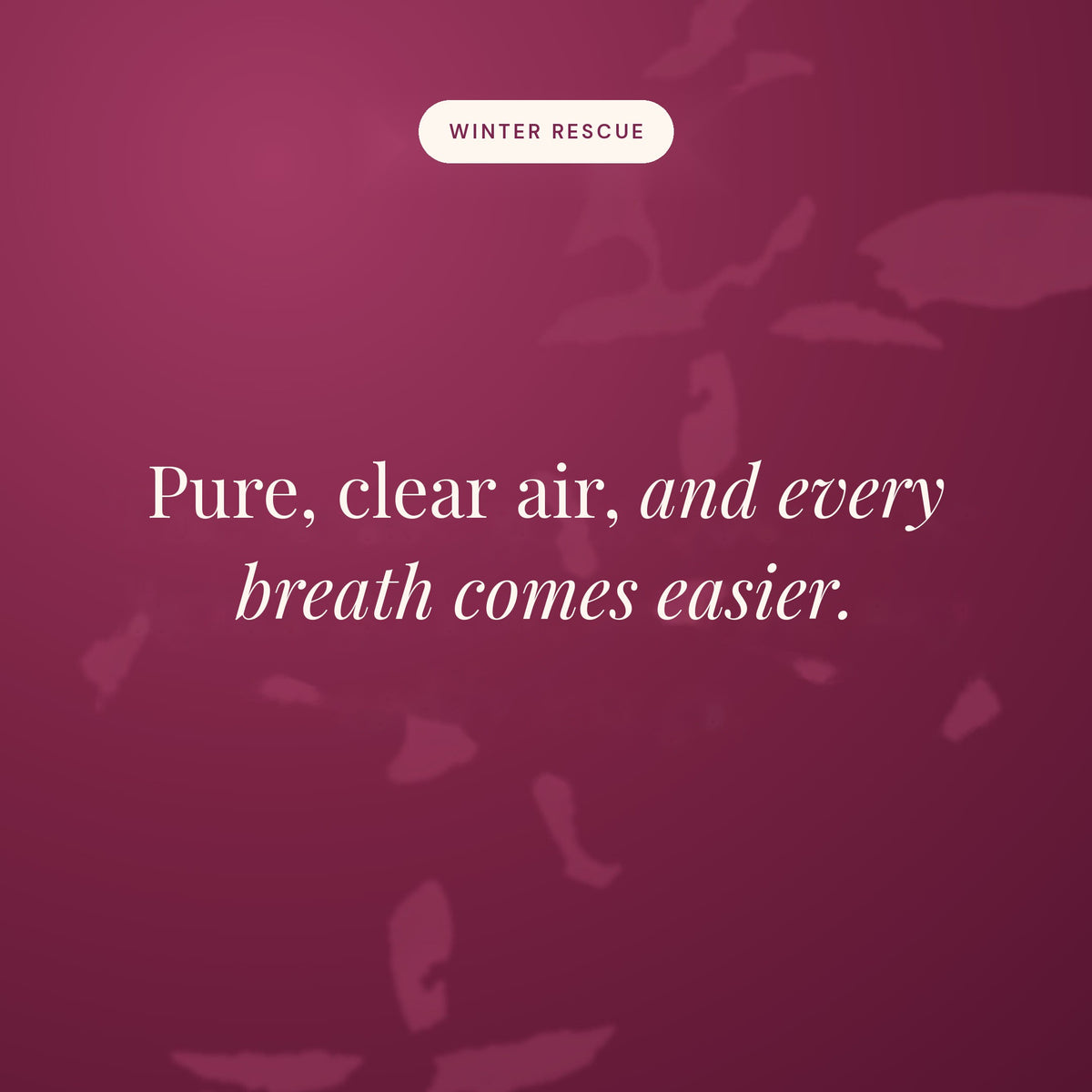 Pure, clear air, and every breath comes easier