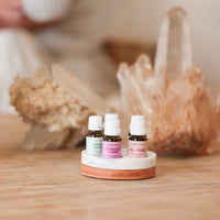 Oils in stand
