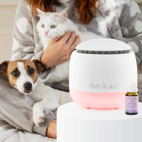 Snooze & Pet Calm oil