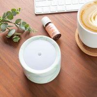 Aroma- Mod Diffuser Green Leaf